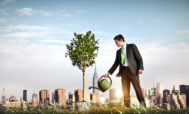 5 Step Guide on Building Wealth