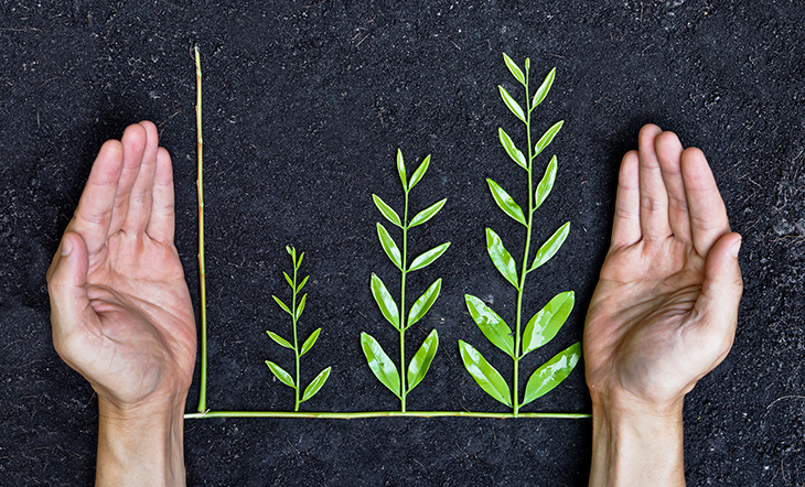 6 Questions on Sustainable Investing That You Need to Ask Your Financial Advisor